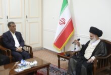 معاون اجرایی رئیس جمهور در دیدار آیت الله حسینی بوشهری