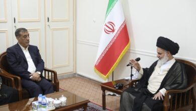 معاون اجرایی رئیس جمهور در دیدار آیت الله حسینی بوشهری