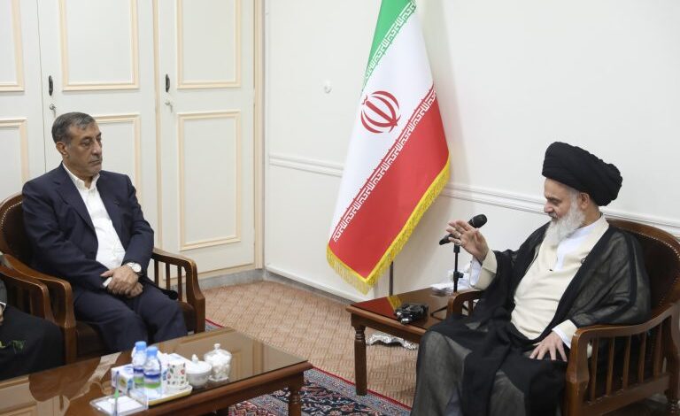 معاون اجرایی رئیس جمهور در دیدار آیت الله حسینی بوشهری